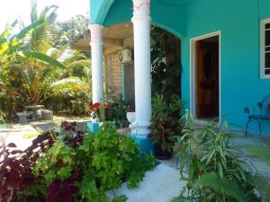 Foto Ocho Rioses asuva majutusasutuse The Gibson's Palace galeriist
