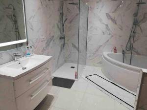 uma casa de banho com um chuveiro, um lavatório e uma banheira em Large Country House in the heart of Champagne em Baslieux-sous-Châtillon