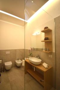 ein Bad mit einem Waschbecken, einem WC und einer Dusche in der Unterkunft Appartamento Belle Epoque vista lago in Onno