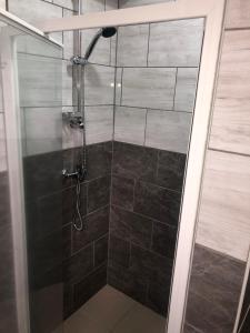 a shower with a glass door in a bathroom at Restaurant Hostel Aan Tafel in Lunteren