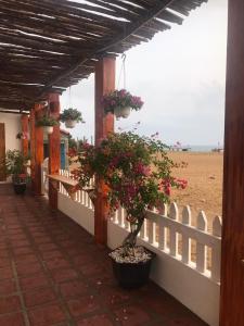 a white fence with potted plants on it next to a beach at Blue Sea Homestay 2 in Phu Yen +11 photos