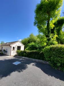 a house with a tree on the side of a street at Oak Cottage 3 km from Rock of Cashel in Cashel