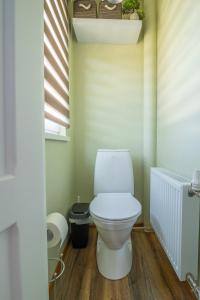 a bathroom with a white toilet in a room at Manni's house with garden & playground in Kuressaare