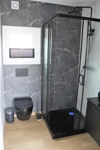 een badkamer met een douche, een toilet en een raam bij Ferienhaus Aurora, Sauna, Seeblick, angeln in Twist