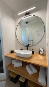 La salle de bains est pourvue d'un lavabo et d'un miroir. dans l'établissement Sea views in Hope Estate, à Cul de Sac