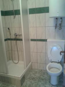 a bathroom with a shower and a toilet and a tub at B&B Nikki in Međugorje