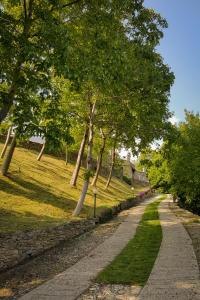 um caminho arborizado em um parque ao lado de um campo em Cascina del Forte em Torre Pellice