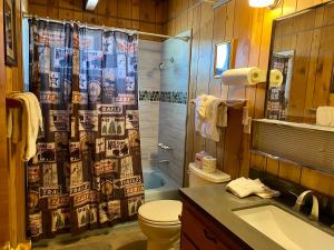 a bathroom with a shower curtain and a toilet and a sink at Fawnskin Family Cabin - Nicely decorated cabin with a lake view and a Foosball Table! in Fawnskin +12 photos