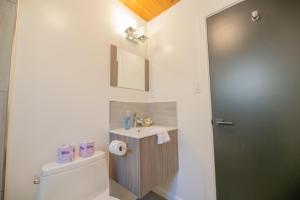 a bathroom with a toilet and a sink at Forest Escape - Situated on the quiet side of the lake, nicely decorated contemporary cabin! in Fawnskin +10 photos