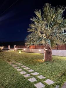 Κήπος έξω από το Tropical Apartments