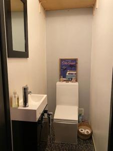 a small bathroom with a sink and a mirror at Bel appartement cosy proche de Paris in Saint-Maur-des-Fossés