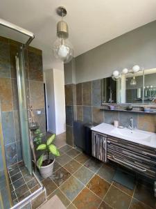 a bathroom with a sink and a shower at Bel appartement cosy proche de Paris in Saint-Maur-des-Fossés