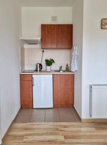 a small kitchen with wooden cabinets and a white dishwasher at Eugen Apartments in Swarzewo