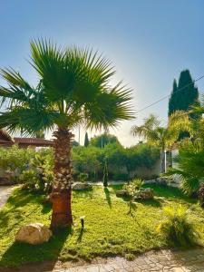a palm tree in the middle of a yard at Villetta di Venere in Marinella di Selinunte