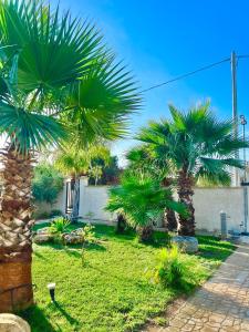 馬里內拉迪塞利的住宿－Villetta di Venere，院子里的一组棕榈树