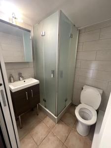 łazienka z toaletą i umywalką w obiekcie Quiet Studio in a House in Sevrier Annecy Lake very close to the lake w mieście Sévrier
