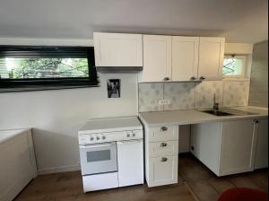 uma pequena cozinha com armários brancos e um lavatório em Quiet Studio in a House in Sevrier Annecy Lake very close to the lake em Sévrier