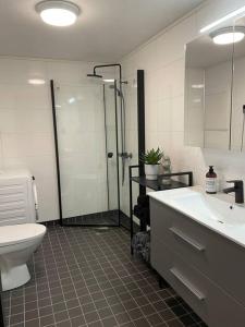 a bathroom with a shower and a toilet and a sink at Skaidi Logde- near salomon river and golf course in Hammerfest