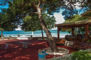 a tree sitting next to a bench and the ocean at Beachfront Rooms Ana in Tučepi