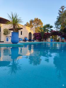 a large blue swimming pool with a house in the background at Riad Eucalyptus by Caravanserail in Essaouira