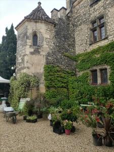 budynek z grupą roślin przed nim w obiekcie A deux pas d'Avignon w mieście Aramon +22 zdjęcia