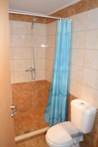 a bathroom with a blue shower curtain and a toilet at To Akrogiali in Fánai