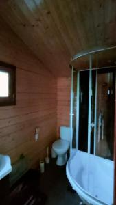 a bathroom with a toilet and a tub and a sink at Domek letniskowy u Bodzia in Kruklanki +8 photos