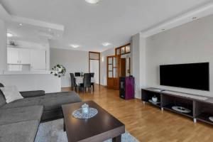 Televízia a/alebo spoločenská miestnosť v ubytovaní Urban Apartment