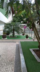 un patio con césped verde y una palmera en Apartamento Vitória Vista ao Mar en Salvador