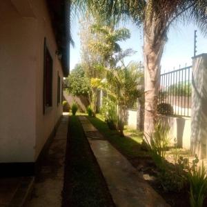 a walkway next to a building with palm trees at Samkab Legacy & comfort Ndeke (airport) in Lusaka