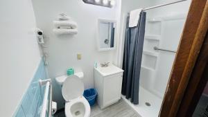 Un baño con inodoro, lavabo y ducha. en SANDS MOTEL, en Boscobel 11 fotos más