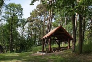 a wooden pavilion in the middle of a forest at Jaskółcze Gniazdo 