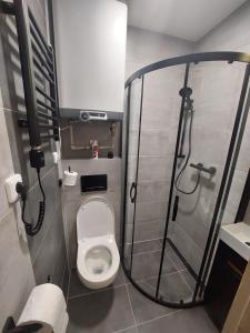 uma pequena casa de banho com WC e chuveiro em Apartmány Lucie em Jihlava