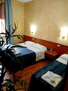 ein Hotelzimmer mit 2 Betten und einer Pflanze in der Unterkunft Hotel Ferrari in Rom