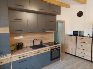 uma cozinha com armários de madeira e um lavatório em Apartmány Lucie em Jihlava