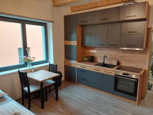 Kuchyňa alebo kuchynka v ubytovaní Apartmány Lucie