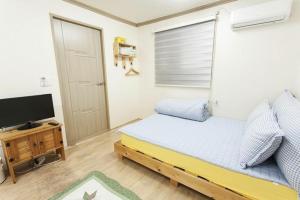 TV a/nebo společenská místnost v ubytování Danaharu Guesthouse