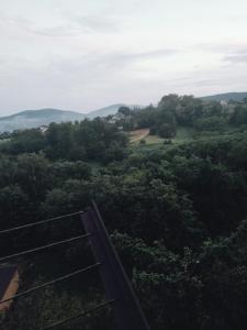 Blick auf einen Wald von der Spitze eines Gebäudes in der Unterkunft Vip apart in Gorlice