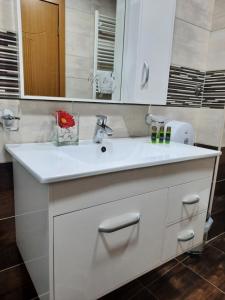 a bathroom with a white sink and a mirror at City House Bitola in Bitola