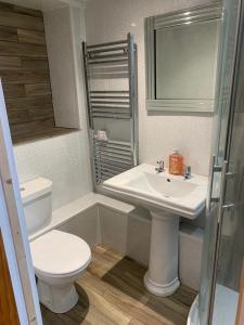 y baño con aseo y lavamanos. en Beautiful studio apartment en Pembrokeshire