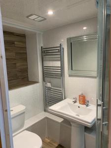 W łazience znajduje się umywalka, toaleta i lustro. w obiekcie Beautiful studio apartment w mieście Pembrokeshire