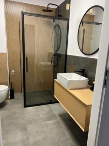 a bathroom with a sink and a shower with a mirror at Apartament Elle in Malbork