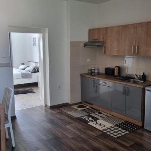 a kitchen with a sink and a counter top at Apartmány Černý Tulipán 4 in Pilsen