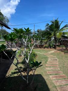 A garden outside DatzVilla Pantai Air Tawar Besut Terengganu