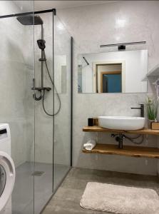 a bathroom with a sink and a glass shower at Mölltaler Gletscher Apartment in Flattach