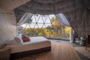 马布尔福尔斯Missing Hotel的一间带一张床铺的卧室,位于带大窗户的房间内