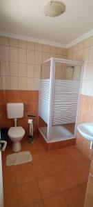 a bathroom with a toilet and a shower with a window at Levendula apartmanház in Hajdúszoboszló