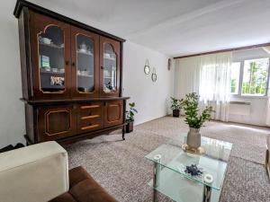 Una sala de estar con un gran armario de madera y una mesa de cristal. en Green apartment Sarajevo, en Sarajevo