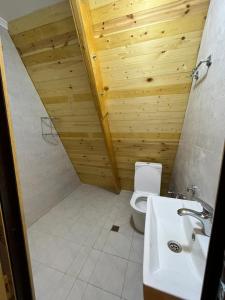 uma casa de banho com um WC e um lavatório em Qafqaz house em Gabala