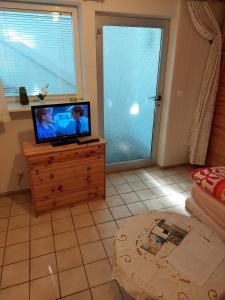 TV a/nebo společenská místnost v ubytování Haus-Halliger-Appartment-Peter